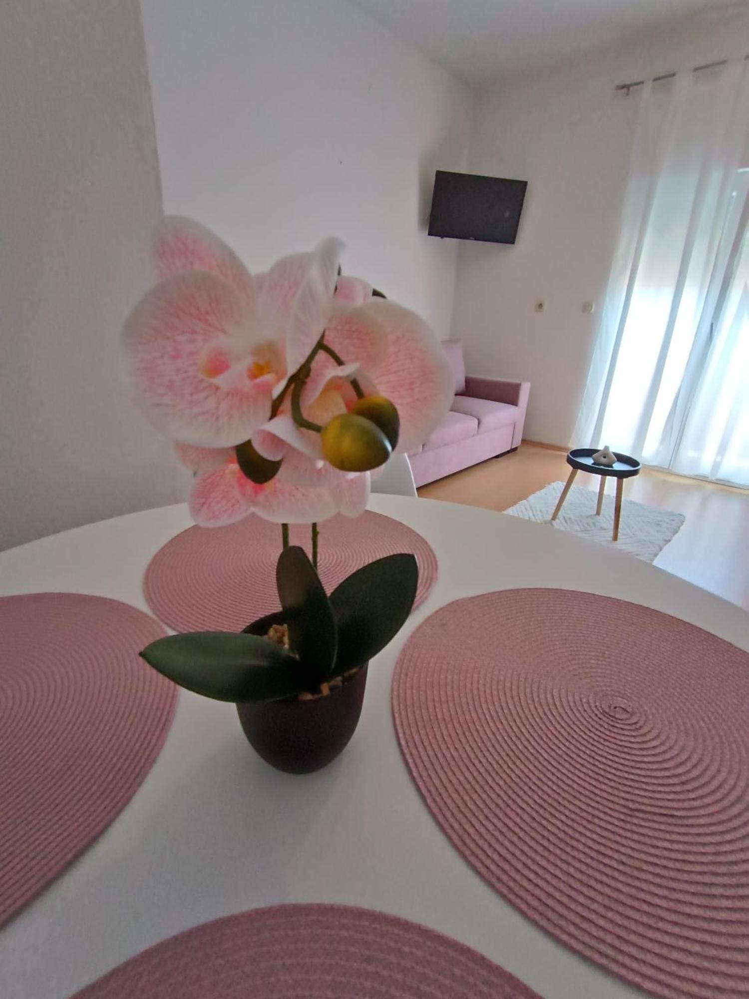 Apartman Lea Sukošan Eksteriør bilde